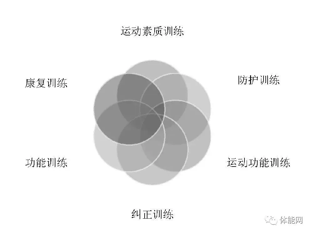 为替补球员提供更好的恢复和康复方案_2